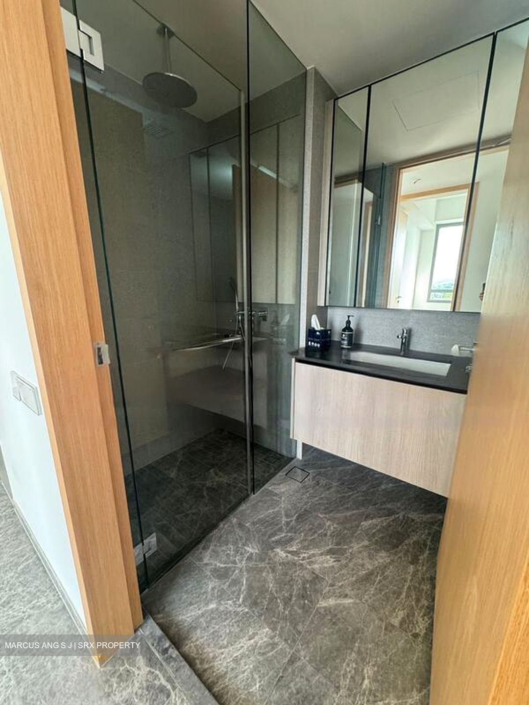One Holland Village Residences (D10), Apartment #494227221